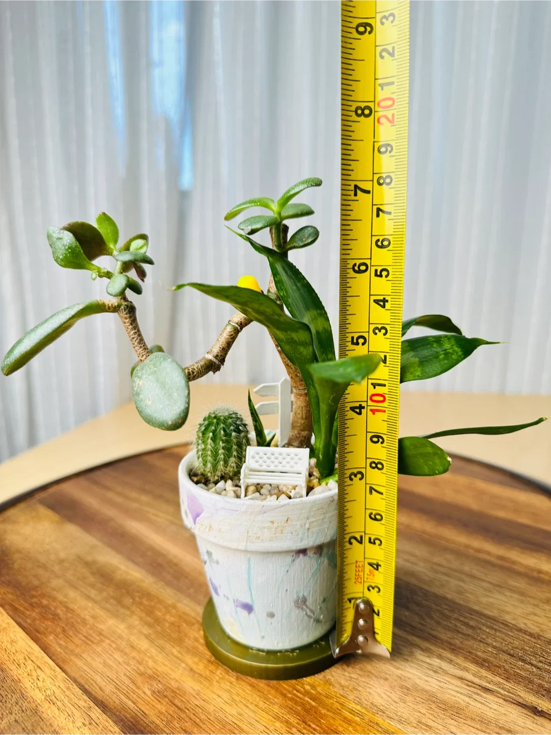 Hand made unique Pot& low maintenance plants image indicator(6)