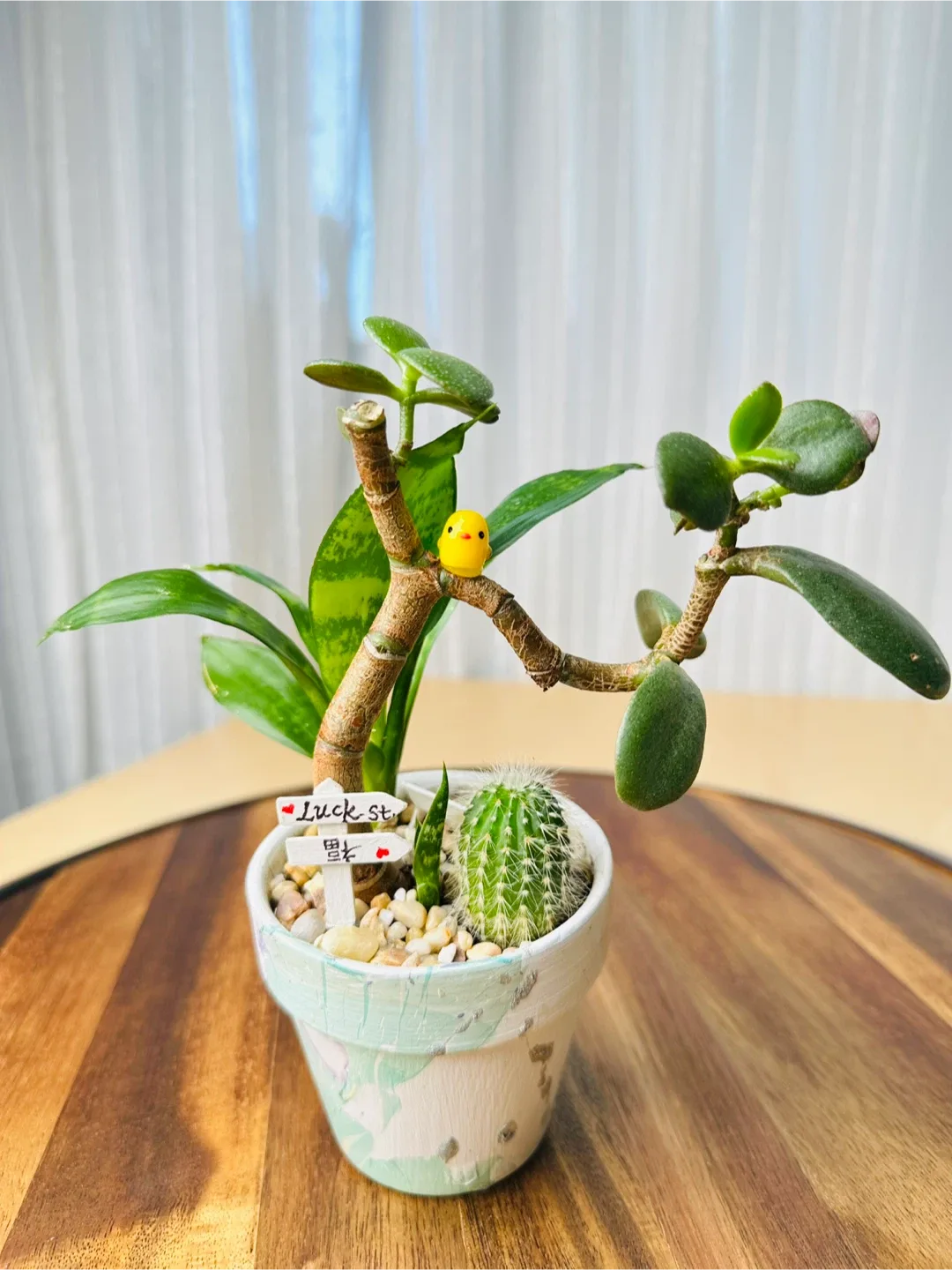 Hand made unique Pot& low maintenance plants image indicator(7)