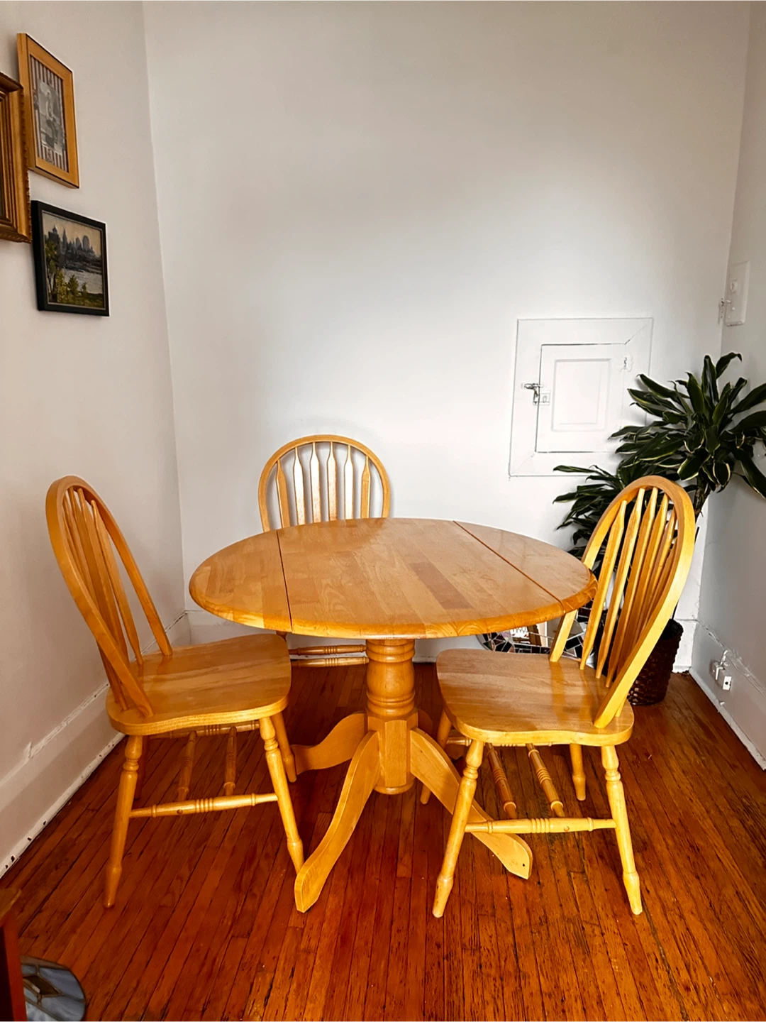 Round Wooden Dining Table and 2 chairs