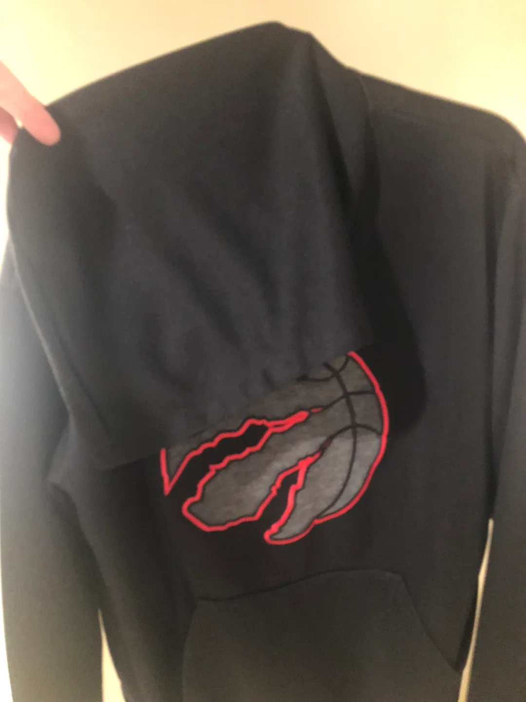 NBA Toronto Raptors Hoodie - Size M/M image indicator(4)