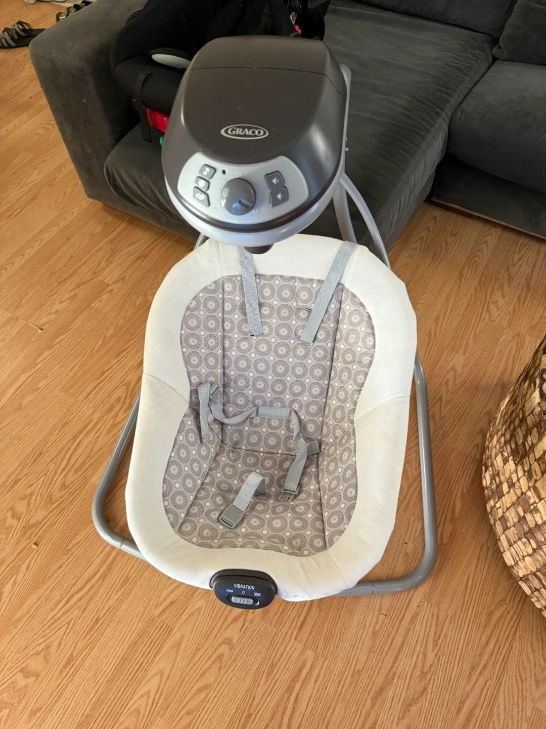 Graco Baby Swing & Infant Car Seat