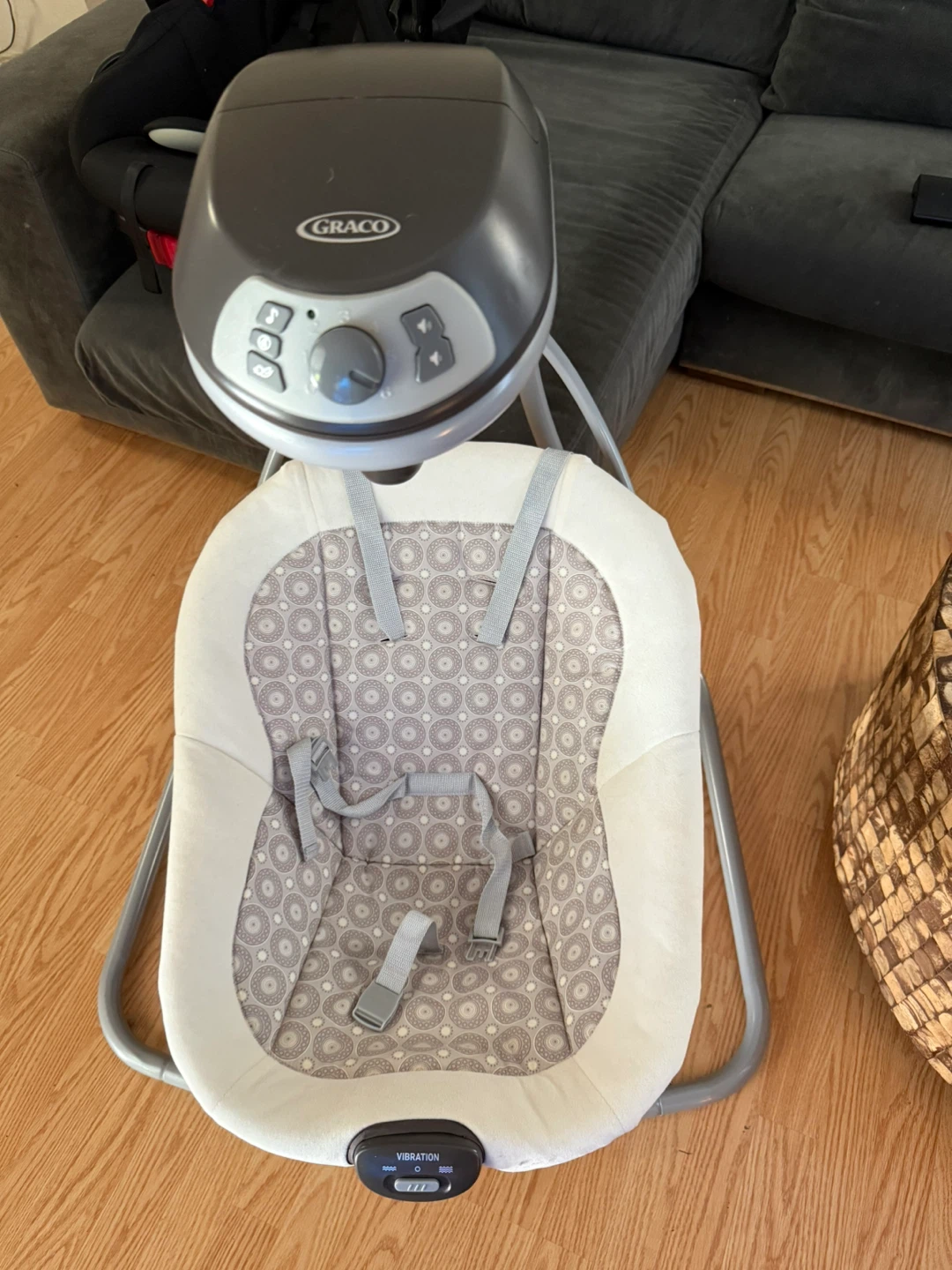 Graco Baby Swing & Infant Car Seat - photo 2