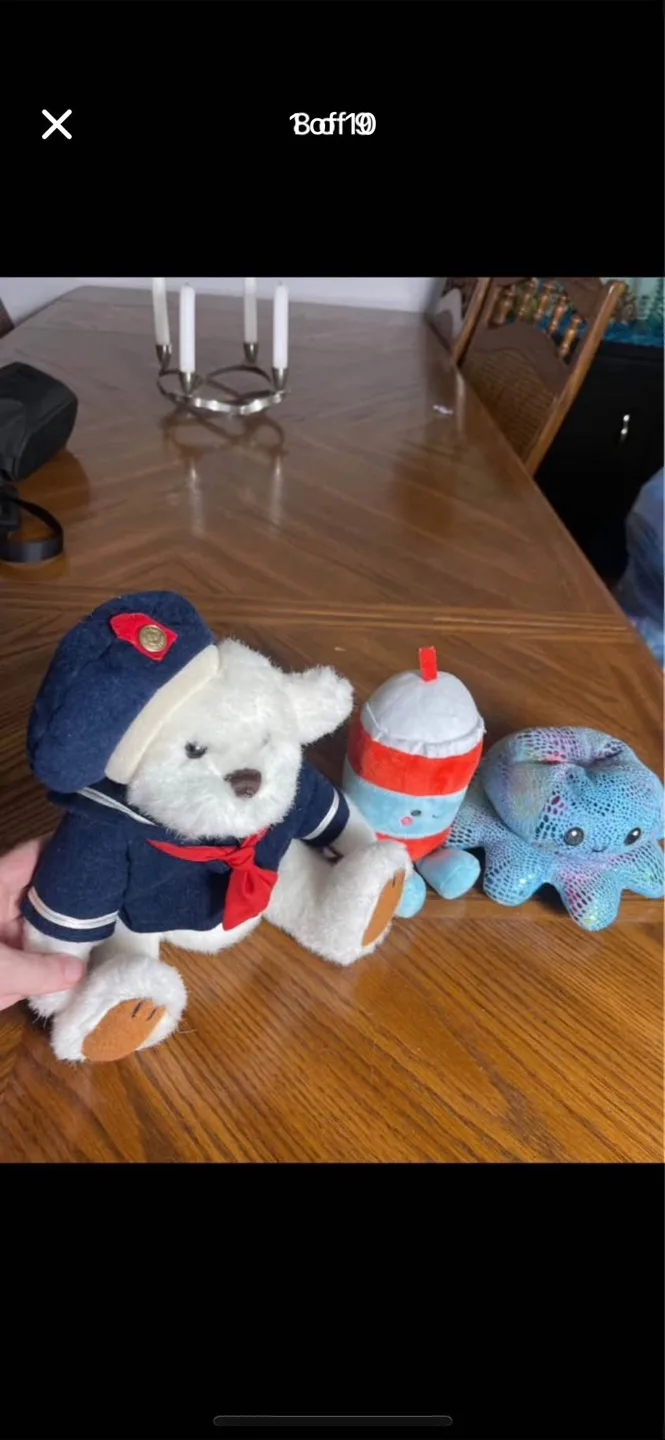 Assorted Plush Toys - Teddy Bears & More! thumbnail