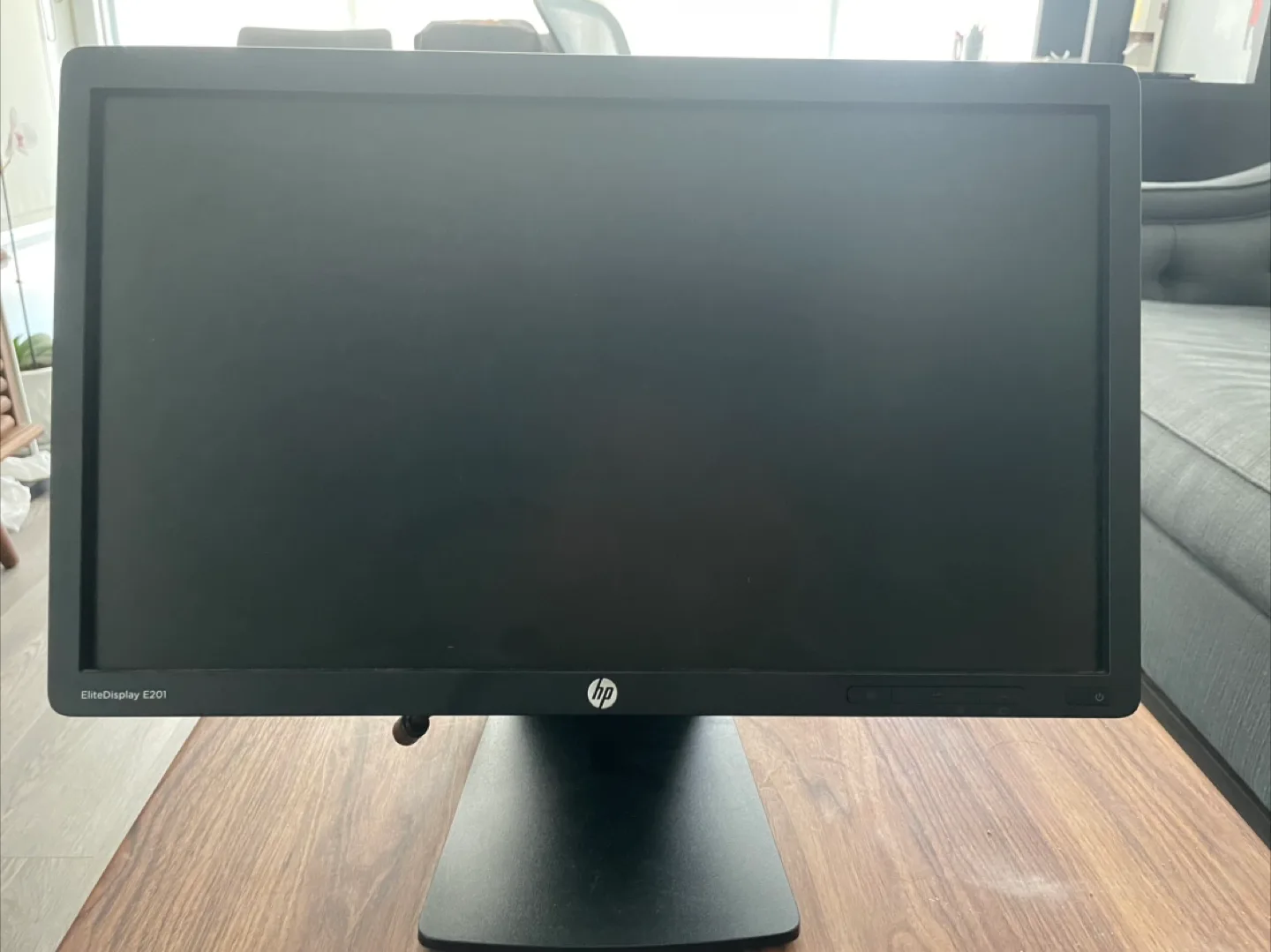 HP EliteDisplay E201 20" Black  Monitor image indicator(3)