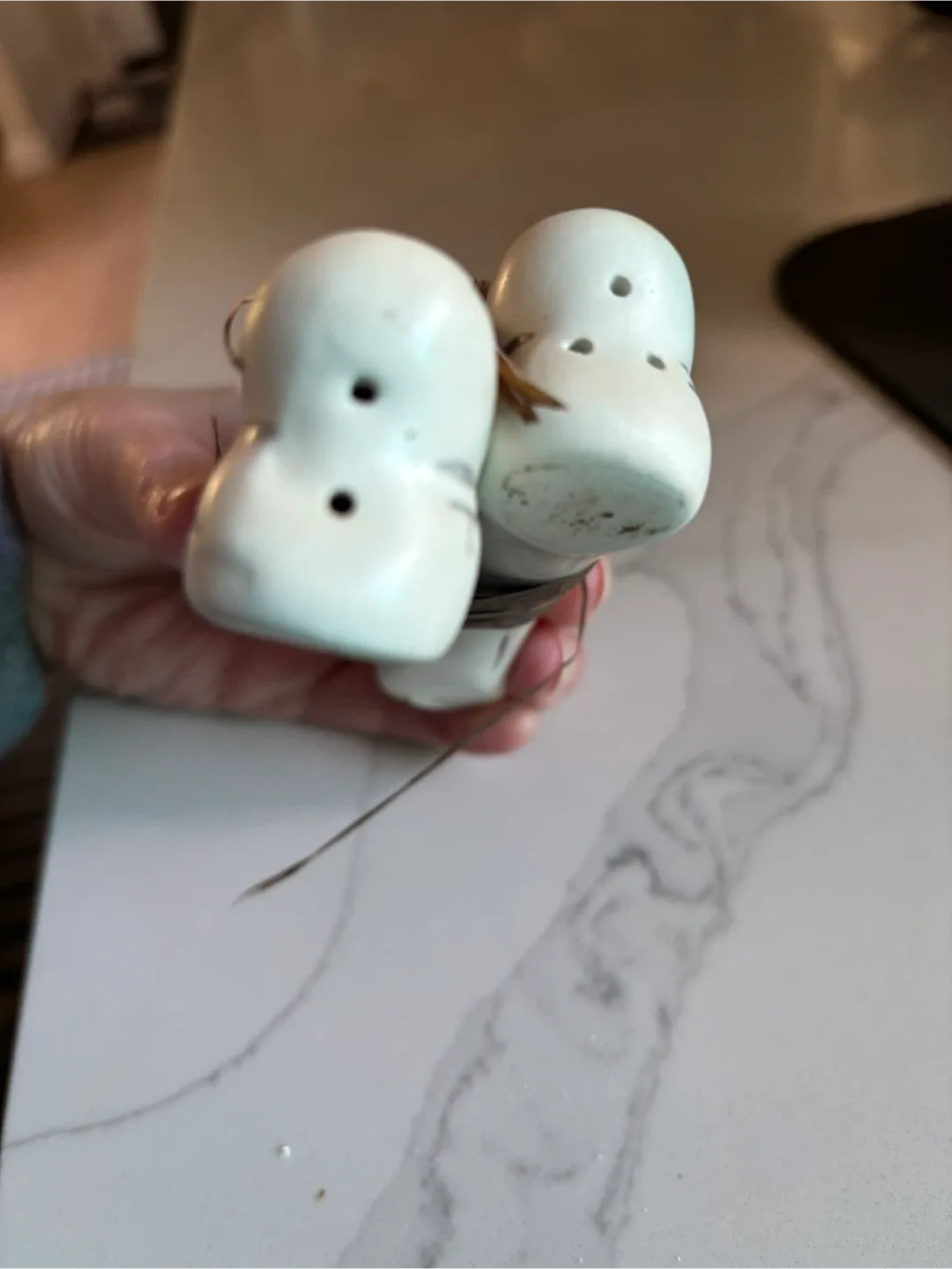 Bone-shaped salt and pepper shakers image indicator(2)