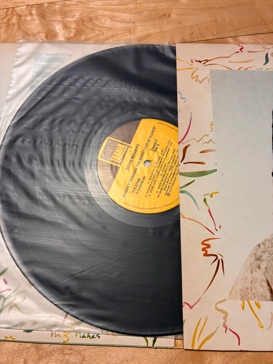 Stevie Wonder's Journey Through The Secret Life of Plants Vinyl image indicator(4)