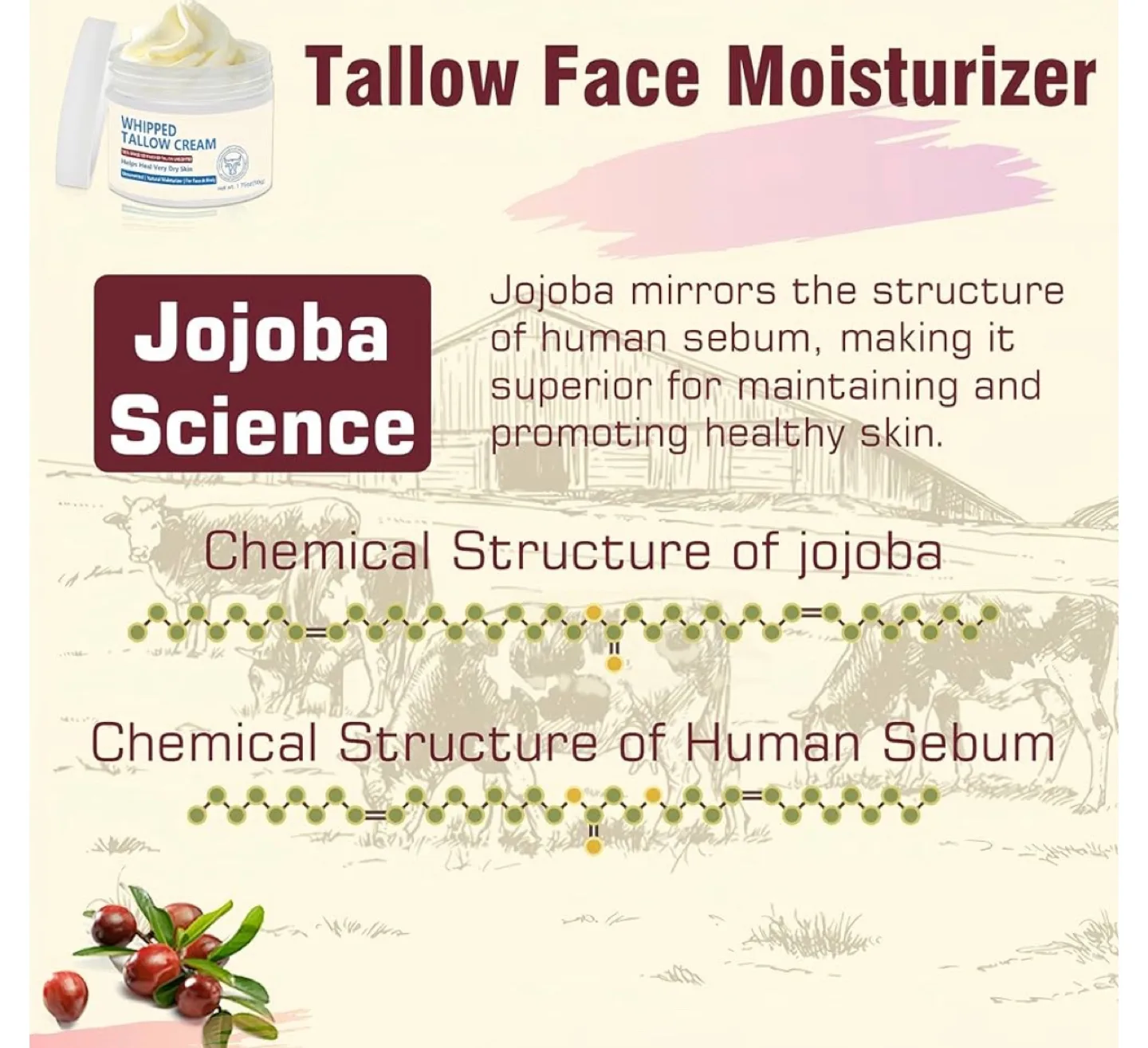 Whipped Beef Tallow - All Natural Moisturizer image indicator(5)