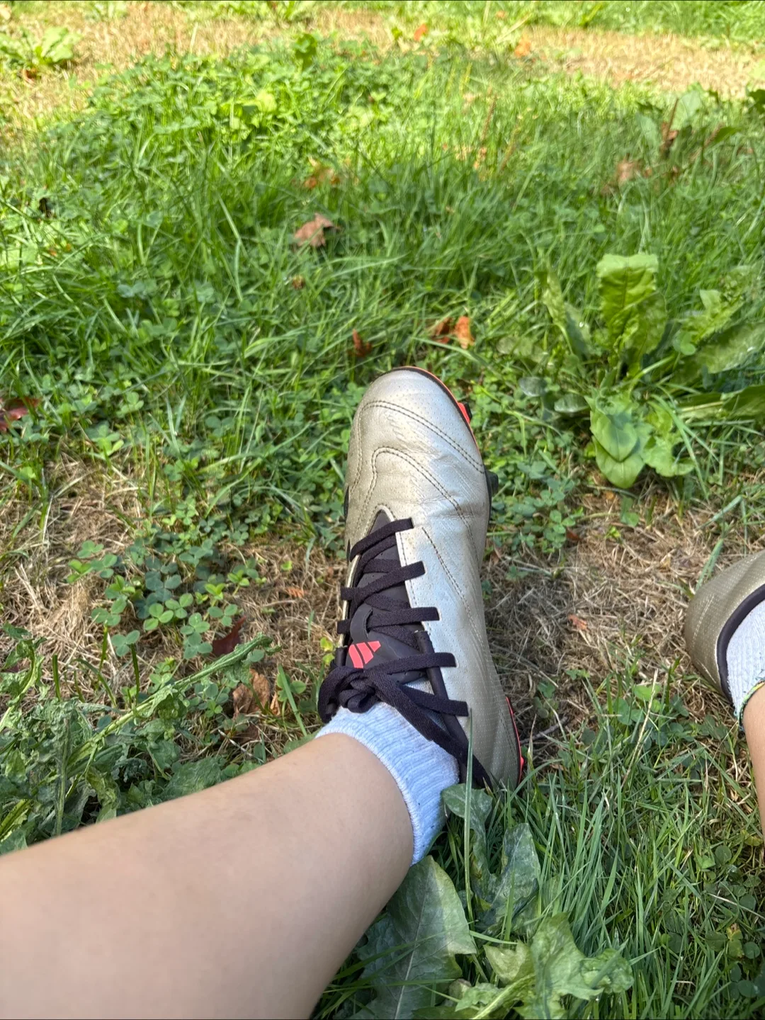 Adidas Predator Soccer Cleats - US Size 5 thumbnail