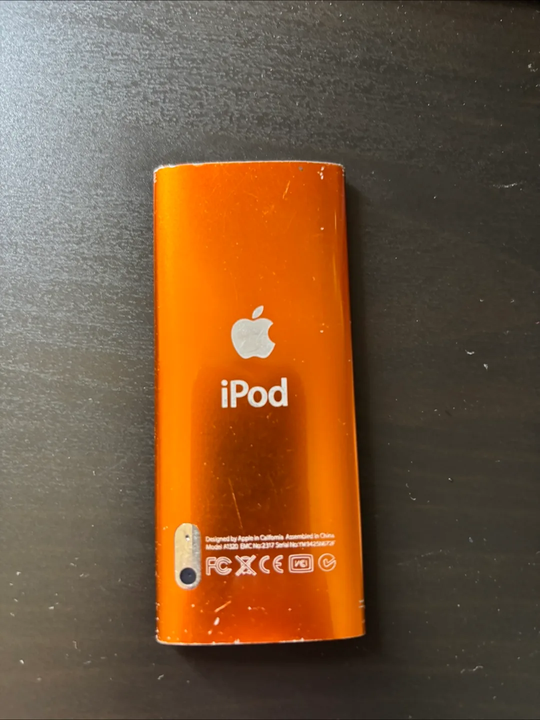 Apple iPod Nano image indicator(2)