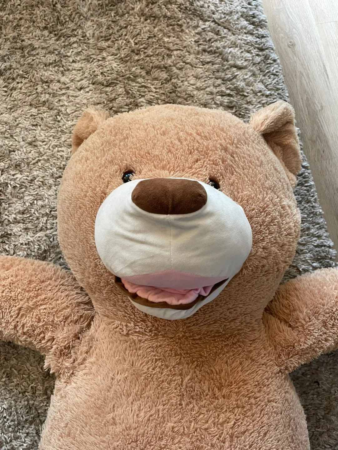 Giant Plush Teddy Bear (5’5) image indicator(5)