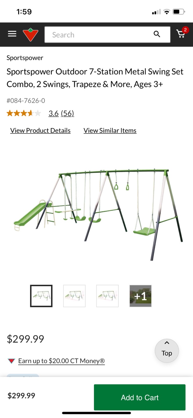 Swing Set - photo 5
