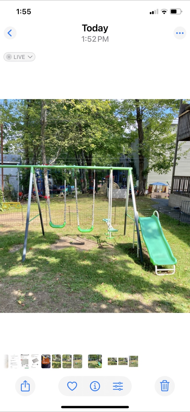 Swing Set - photo 4