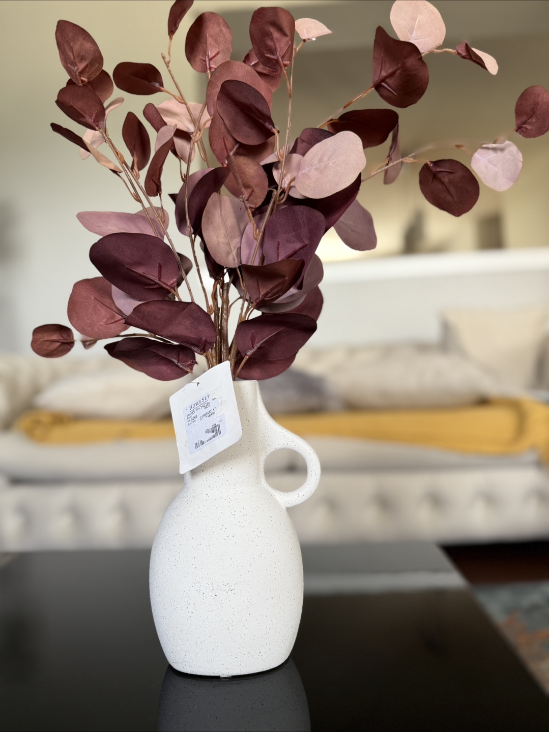 HomeSense Eucalyptus Stem in Vase