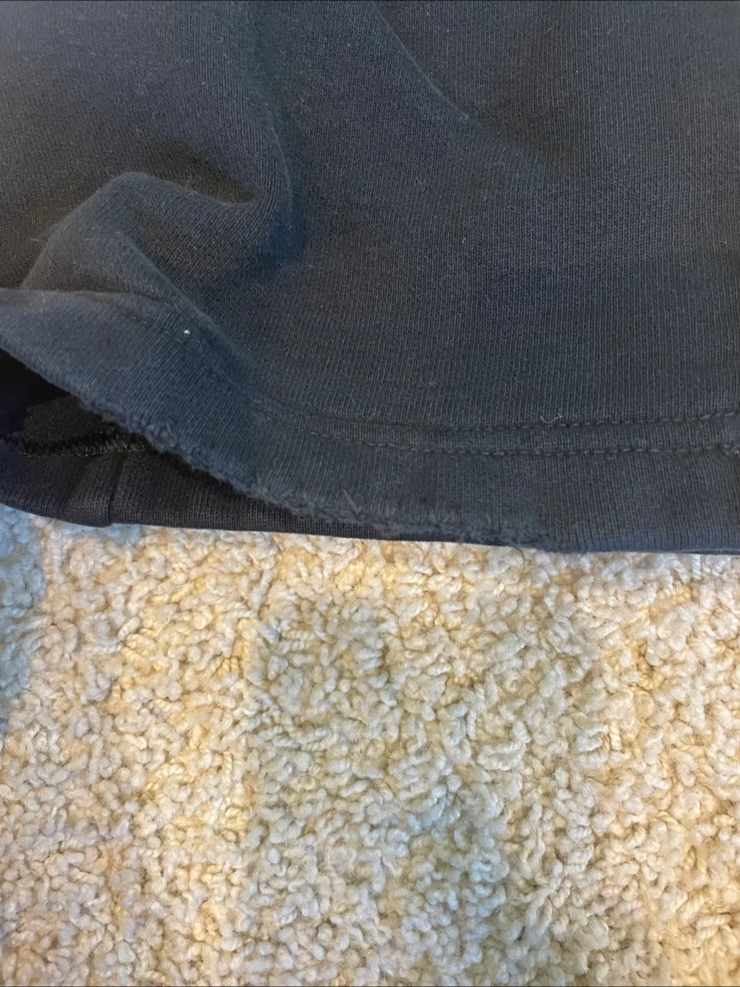 Aritzia Sweatfleece Cargo Pants image indicator(3)