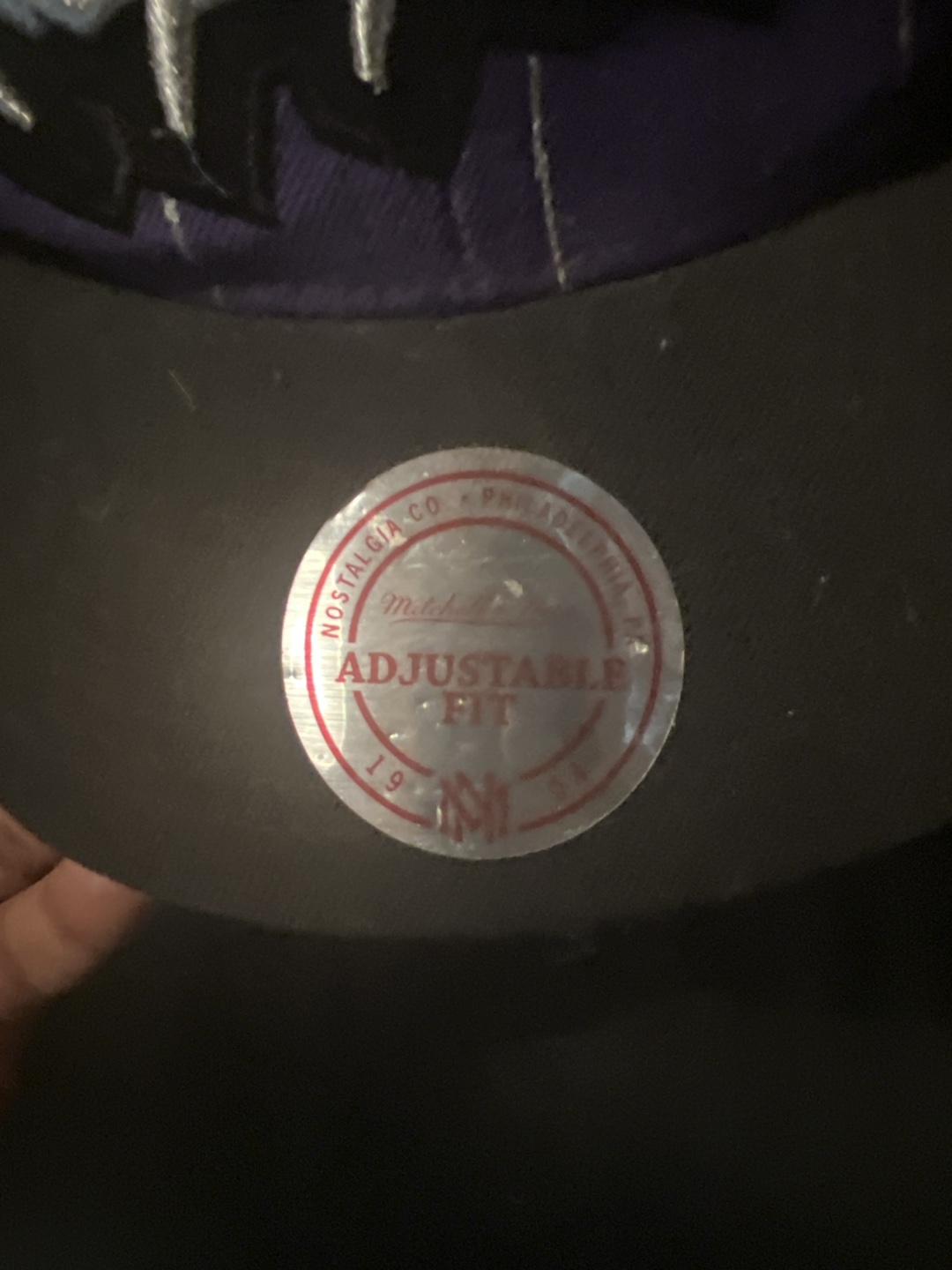 Mitchell & Ness Toronto Raptors Hat - photo 3