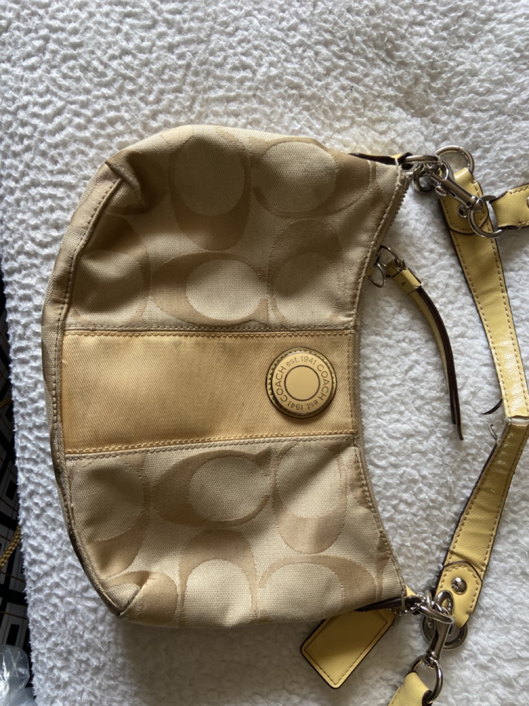 Coach Hobo Bag