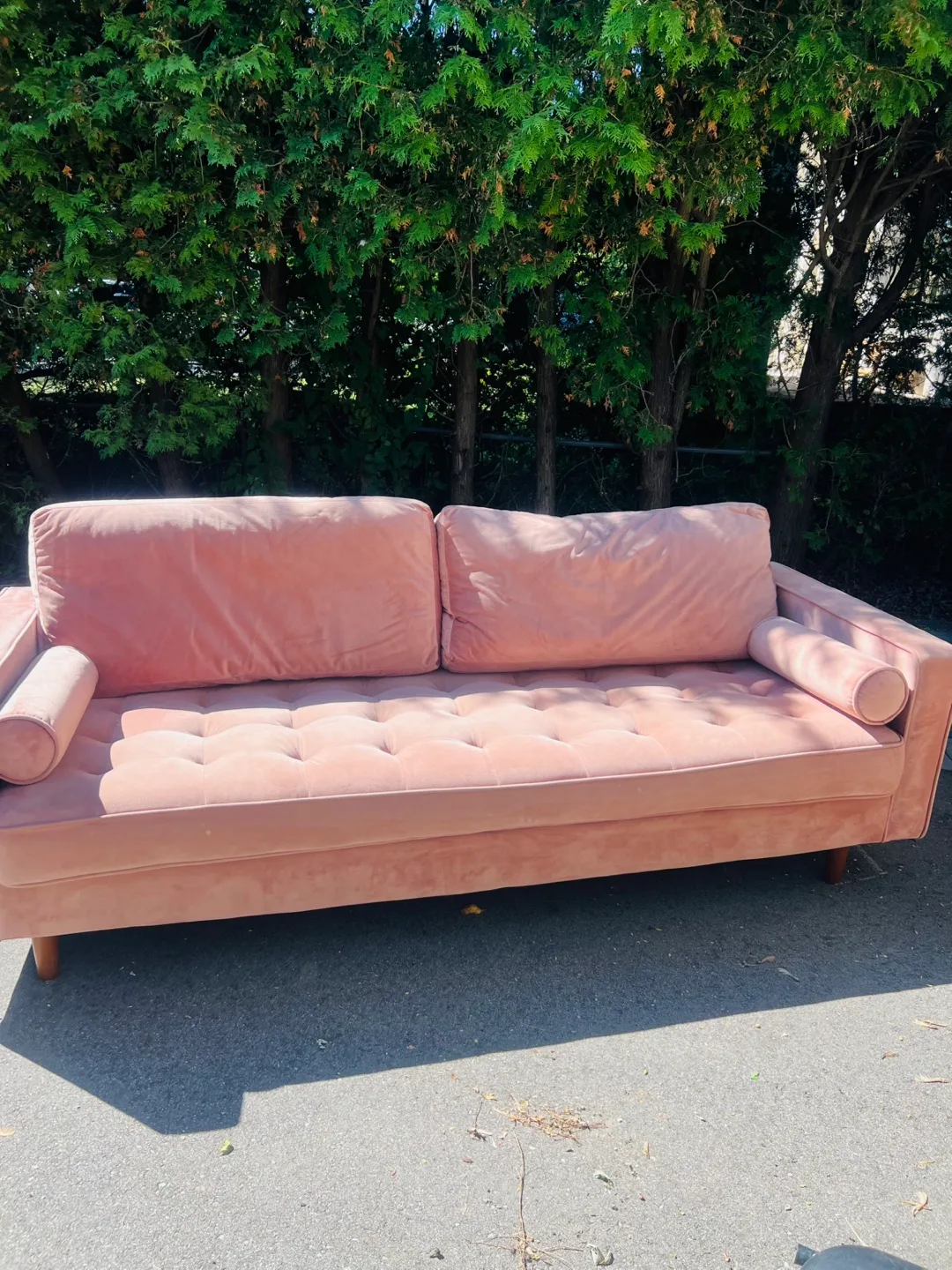 Pink Velvet Sofa image indicator(2)