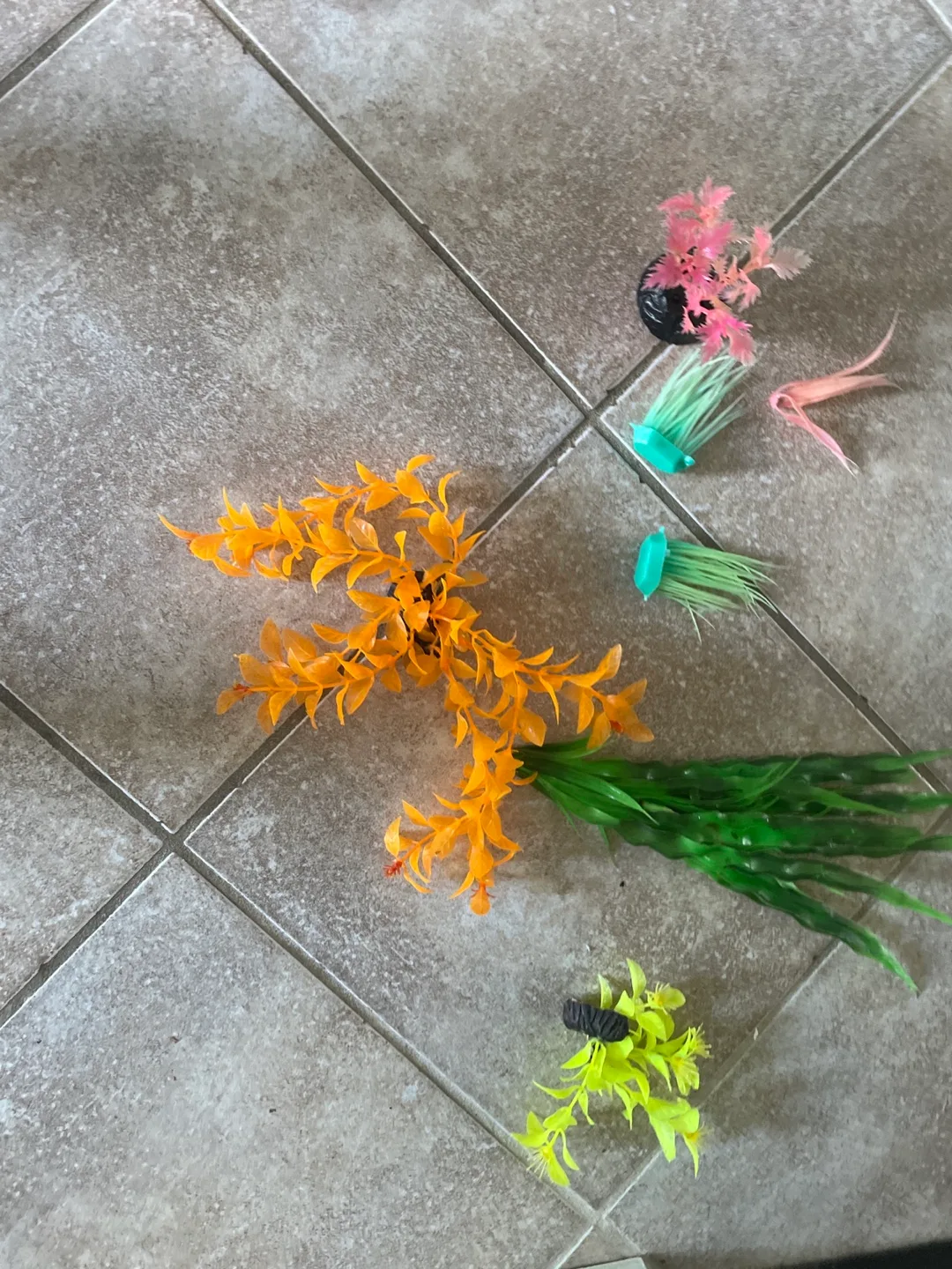 Aquarium Plants image indicator(3)