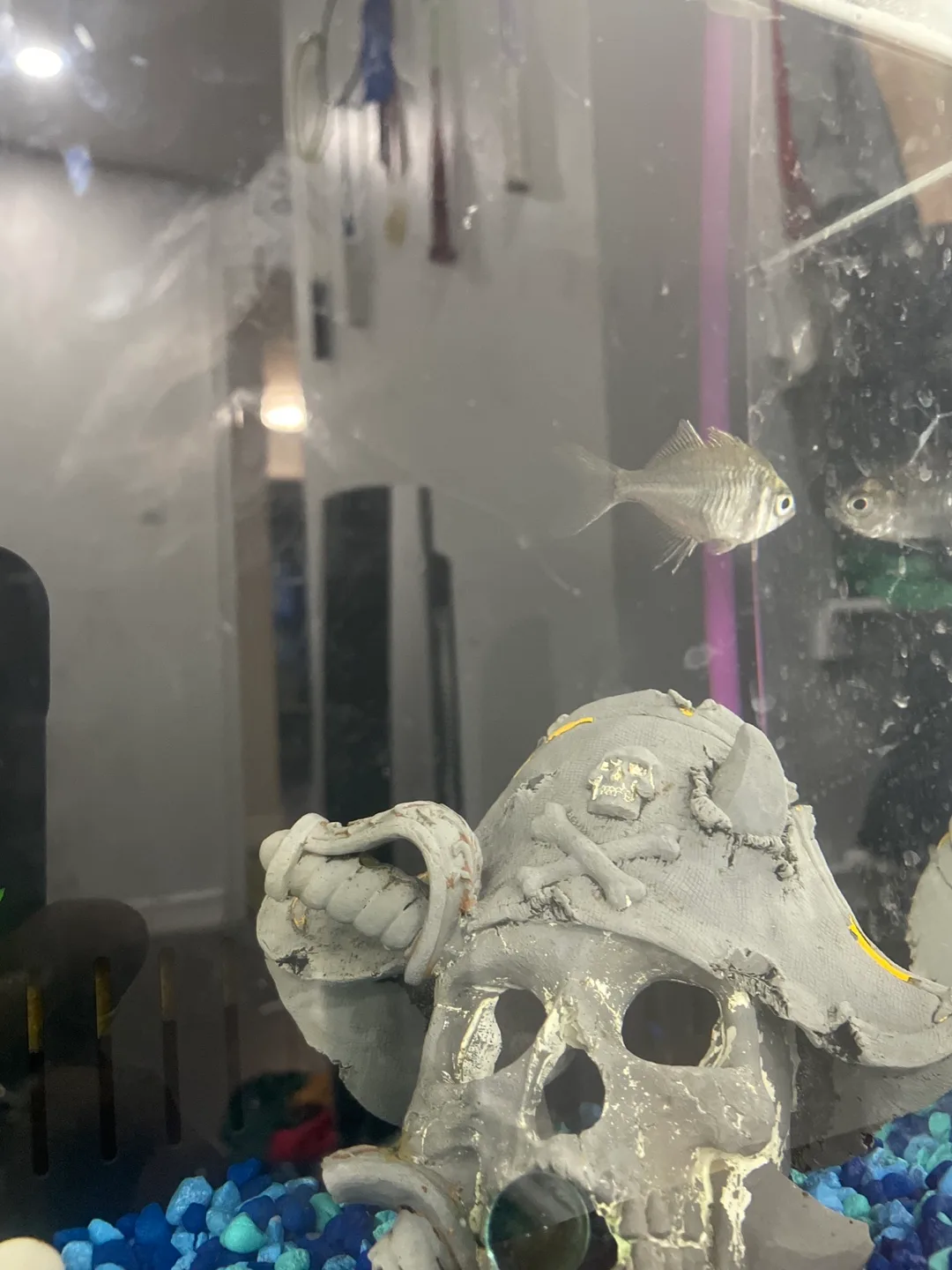 Fish Tank with Accessories image indicator(8)