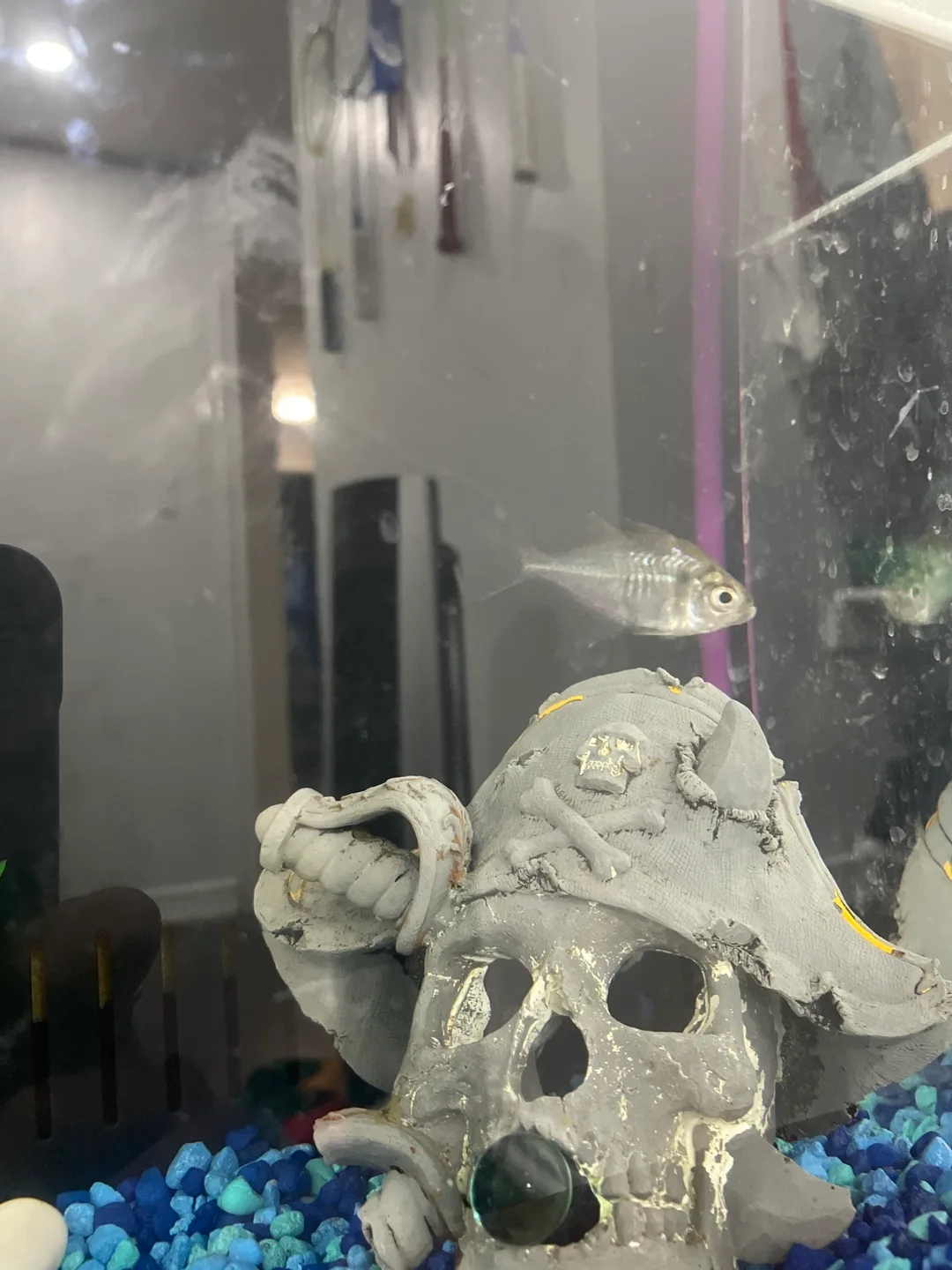 Fish Tank with Accessories image indicator(7)