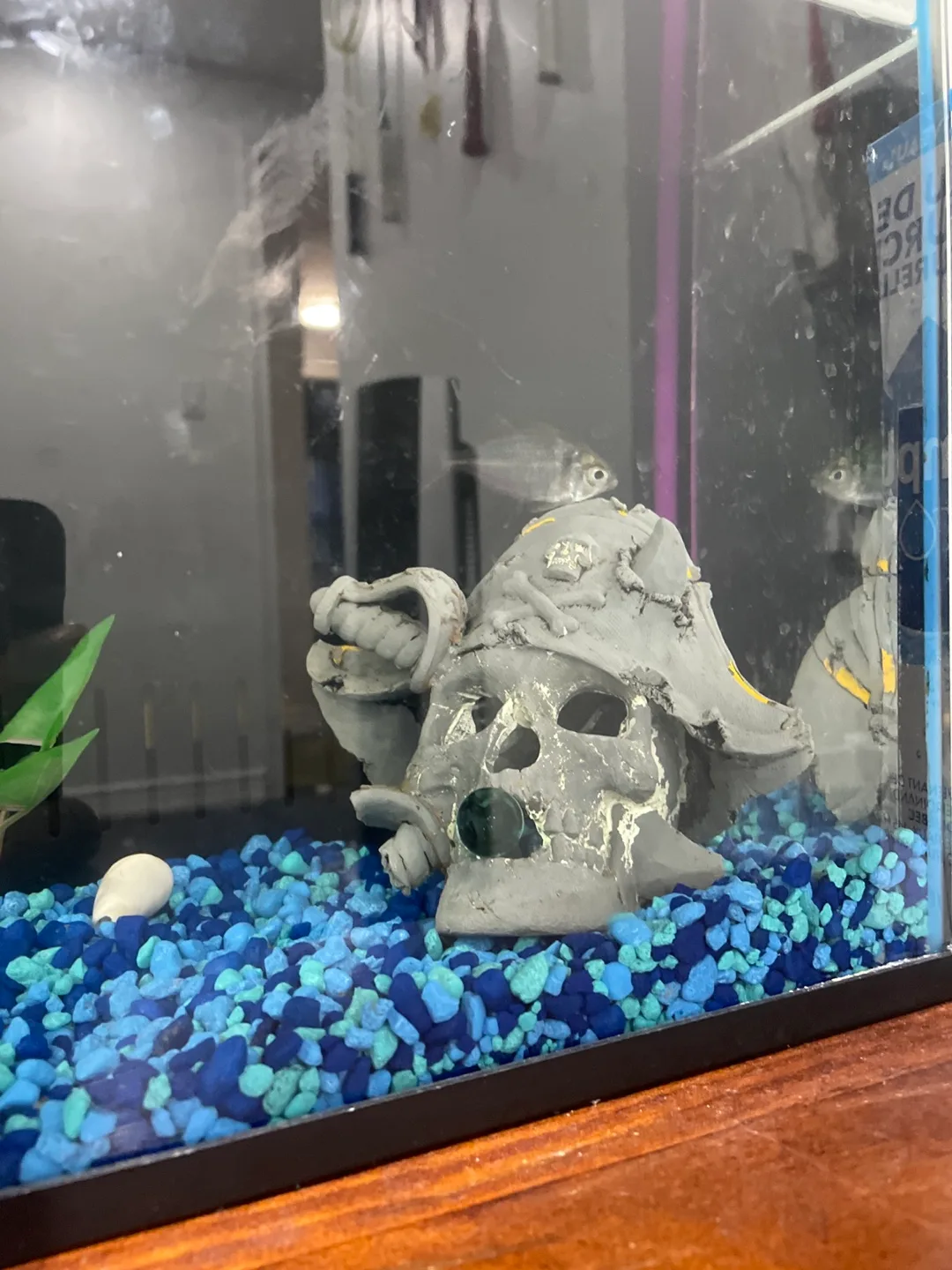 Fish Tank with Accessories image indicator(9)