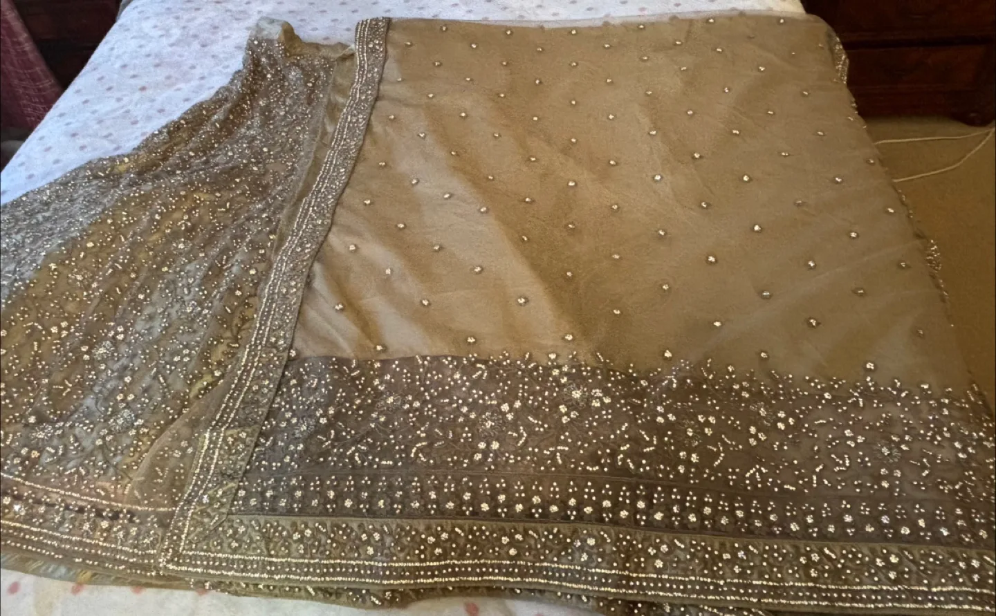 Embroidered Lehenga image indicator(4)