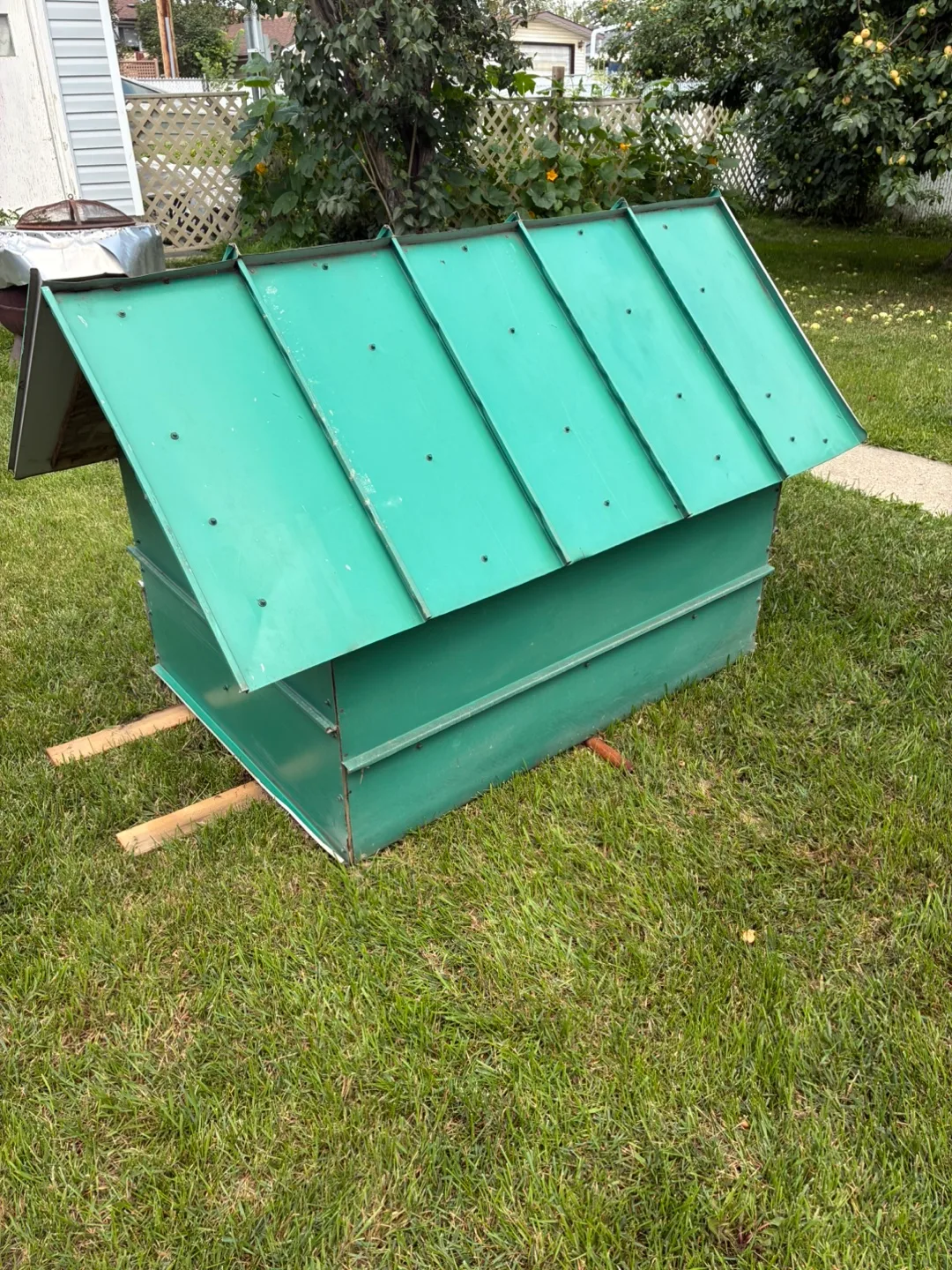 Green Tin Dog House image indicator(3)