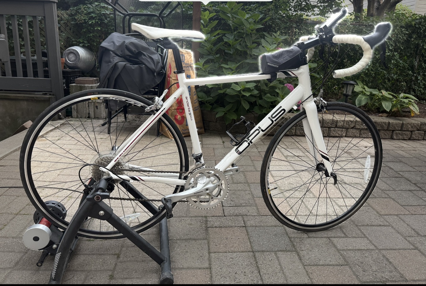 Opus Road Bike