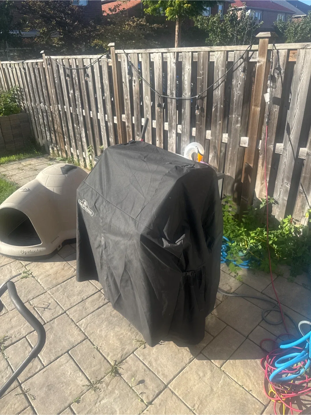 Napoleon legend natural gas with infrared burner image indicator(3)