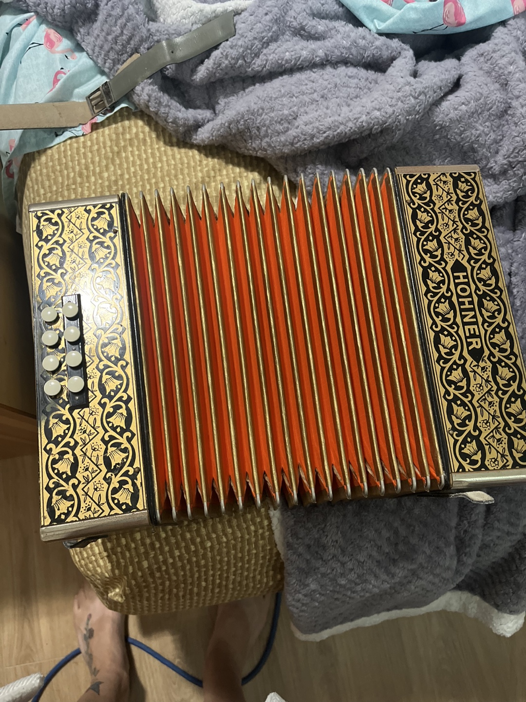 Hohner Accordion - photo 5