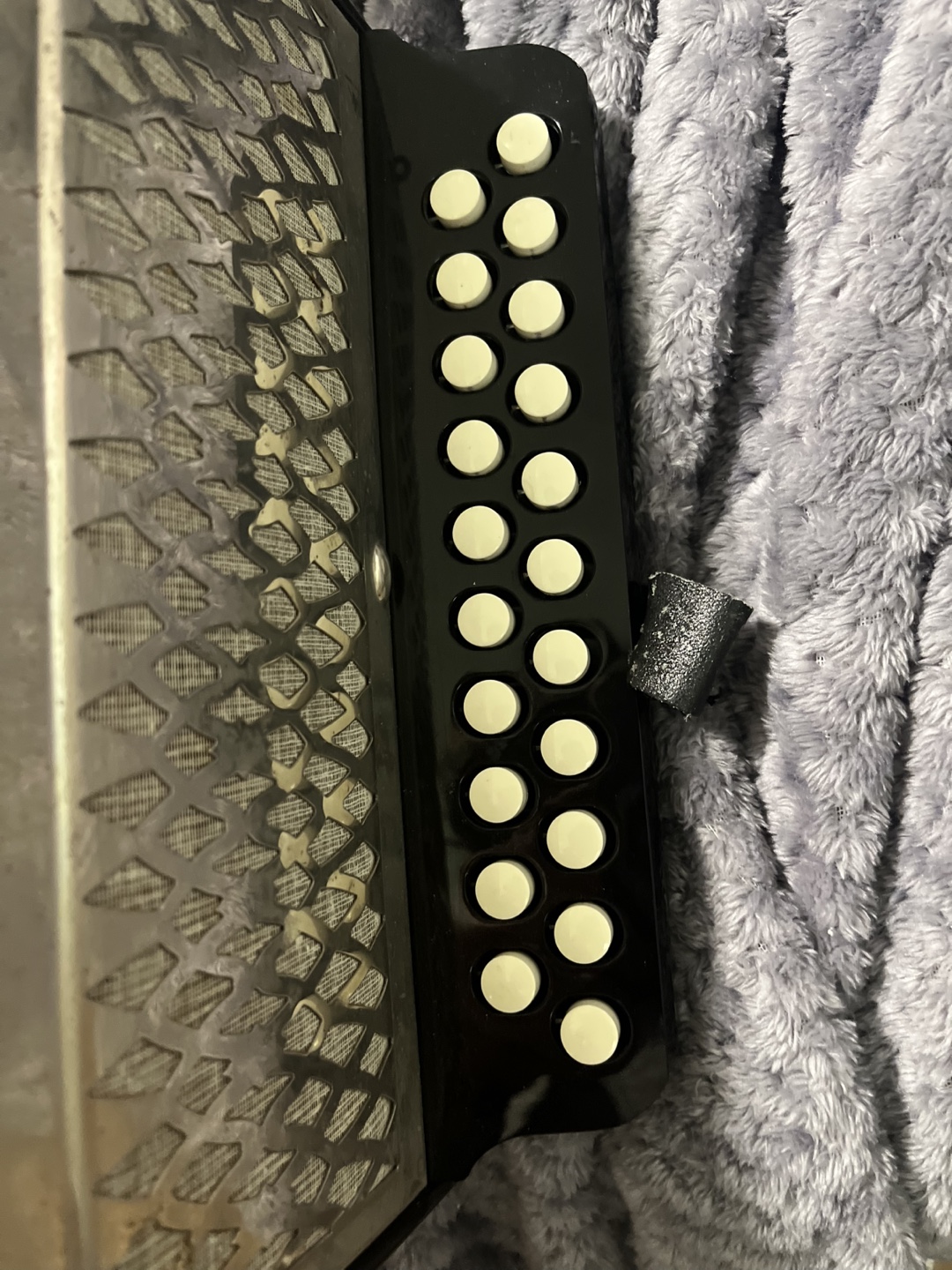 Hohner Accordion - photo 2