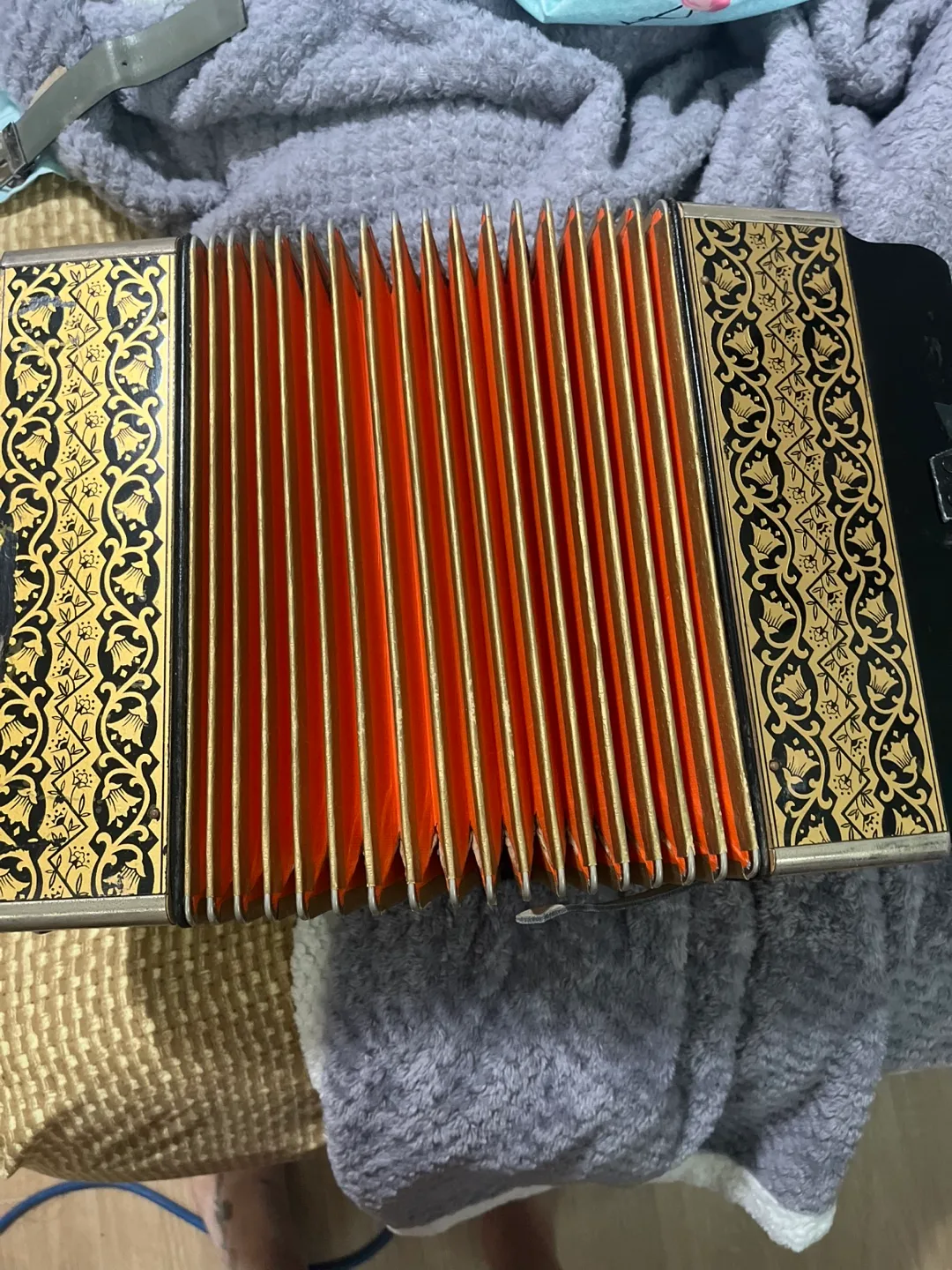 Hohner Accordion