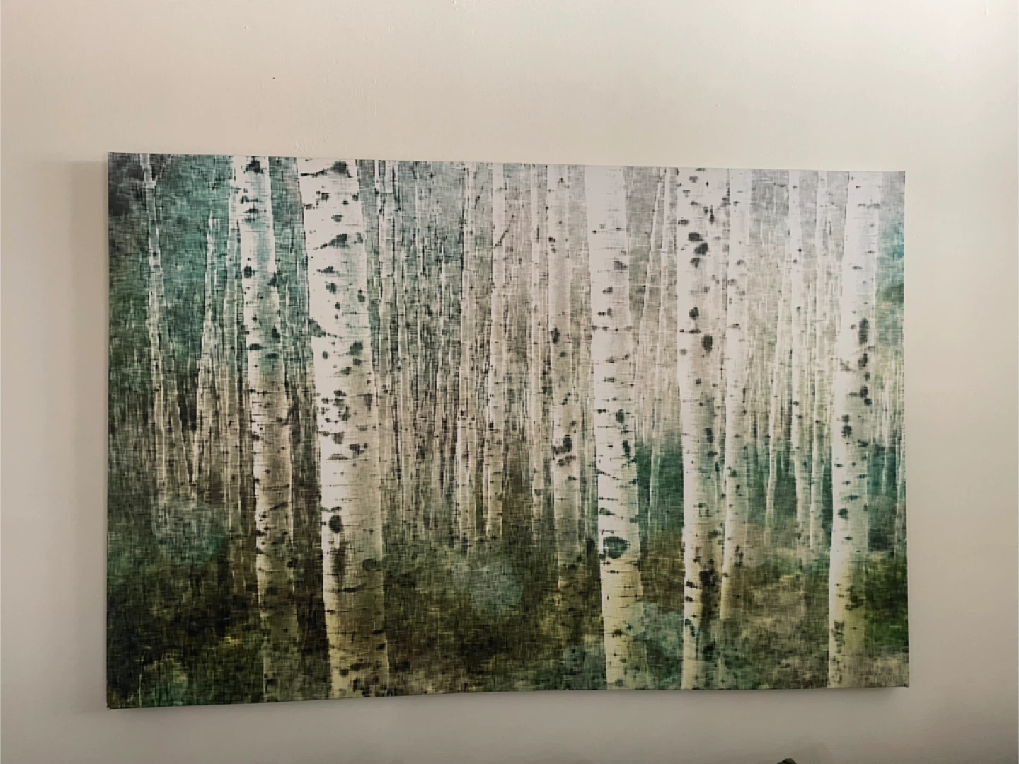 Birch Tree Forest Canvas Wall Art