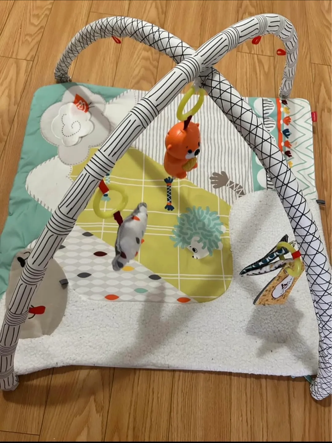 Fisher-Price Baby Activity Gym image indicator(2)