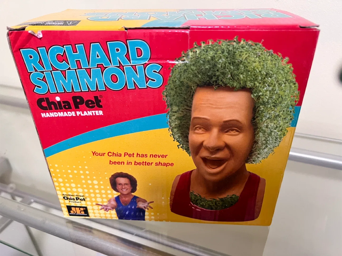 Richard Simmons Chia Pet Handmade Planter thumbnail