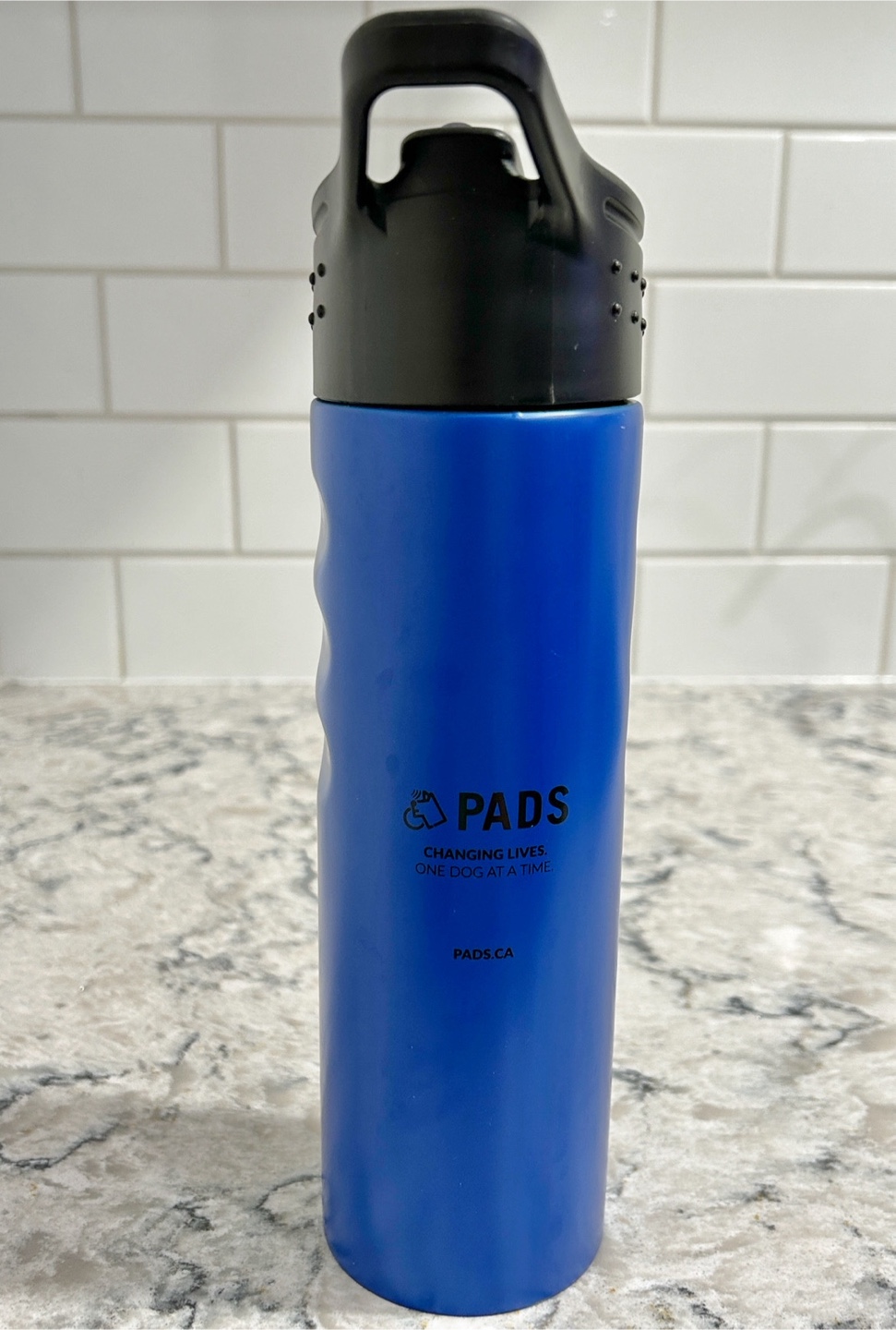 Blue PADS Insulated Water Bottle - photo 2
