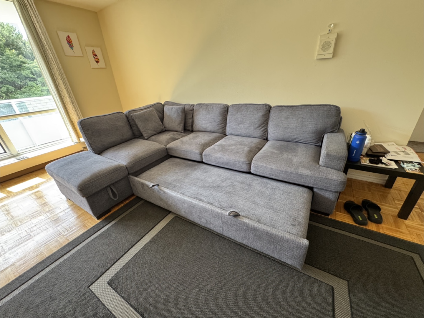 Grey Sectional Sofa with Pull-Out Bed and storage