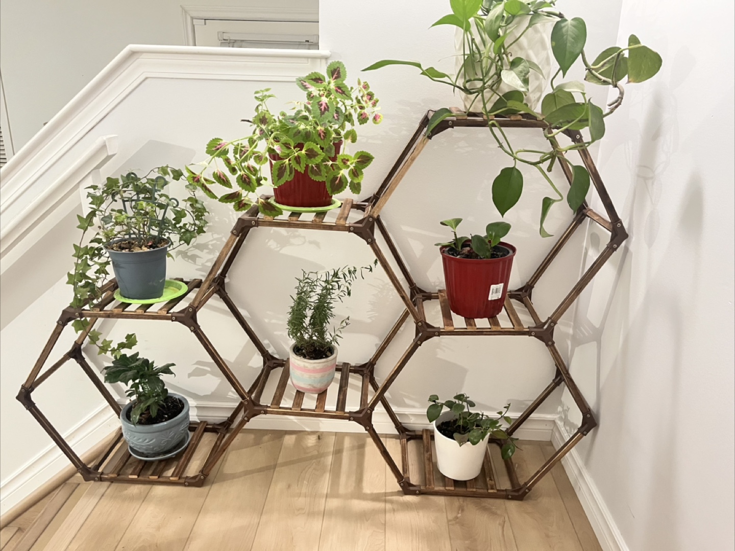 Hexagon Plant Stand - Brown