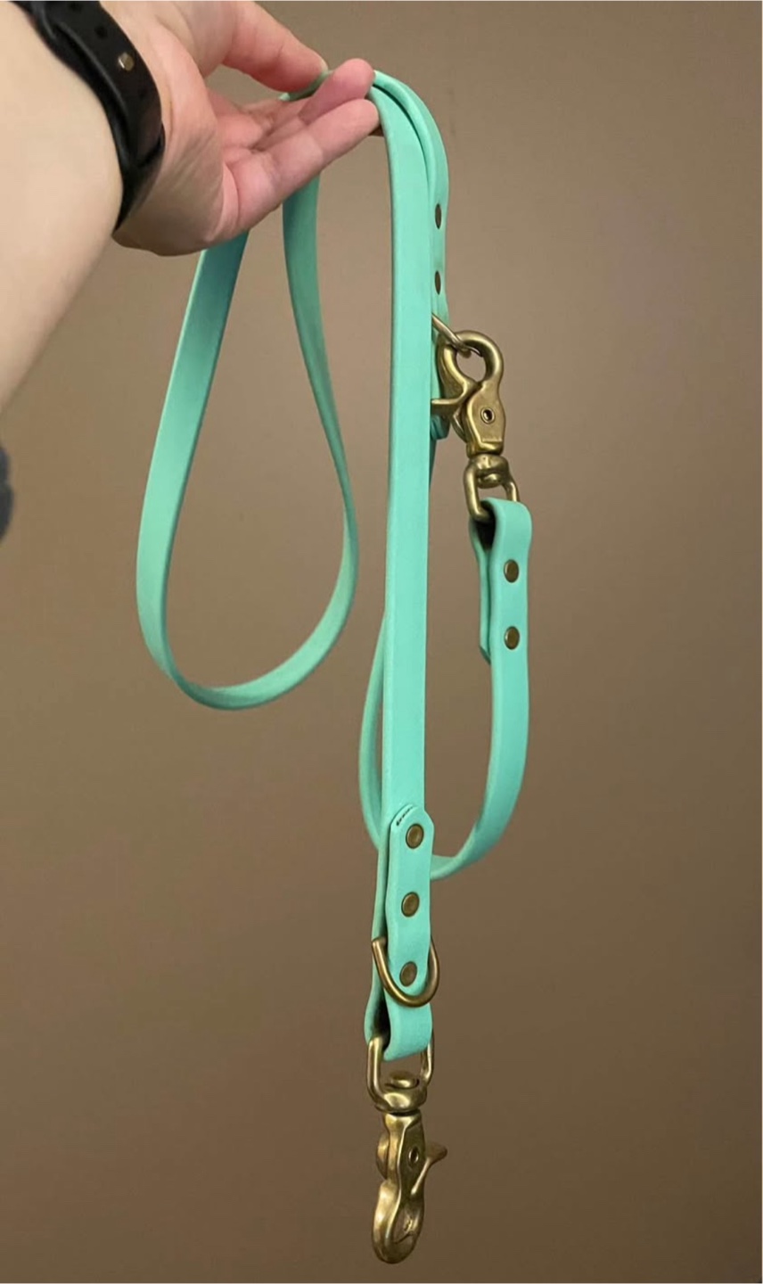 Strange tails seafoam biothane leash