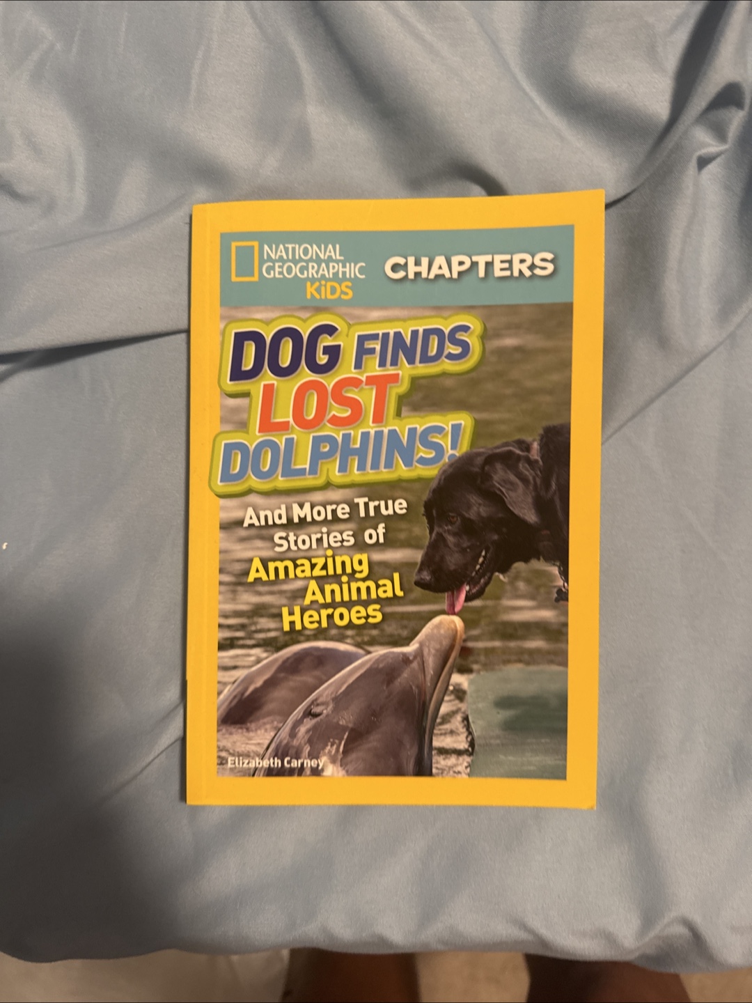 National Geographic Kids: Dog Finds Lost Dolphins!