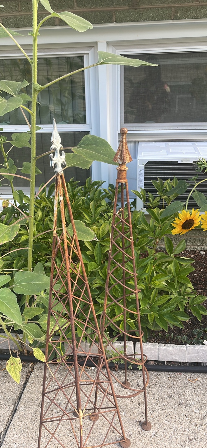 Garden Obelisks - Set of 2