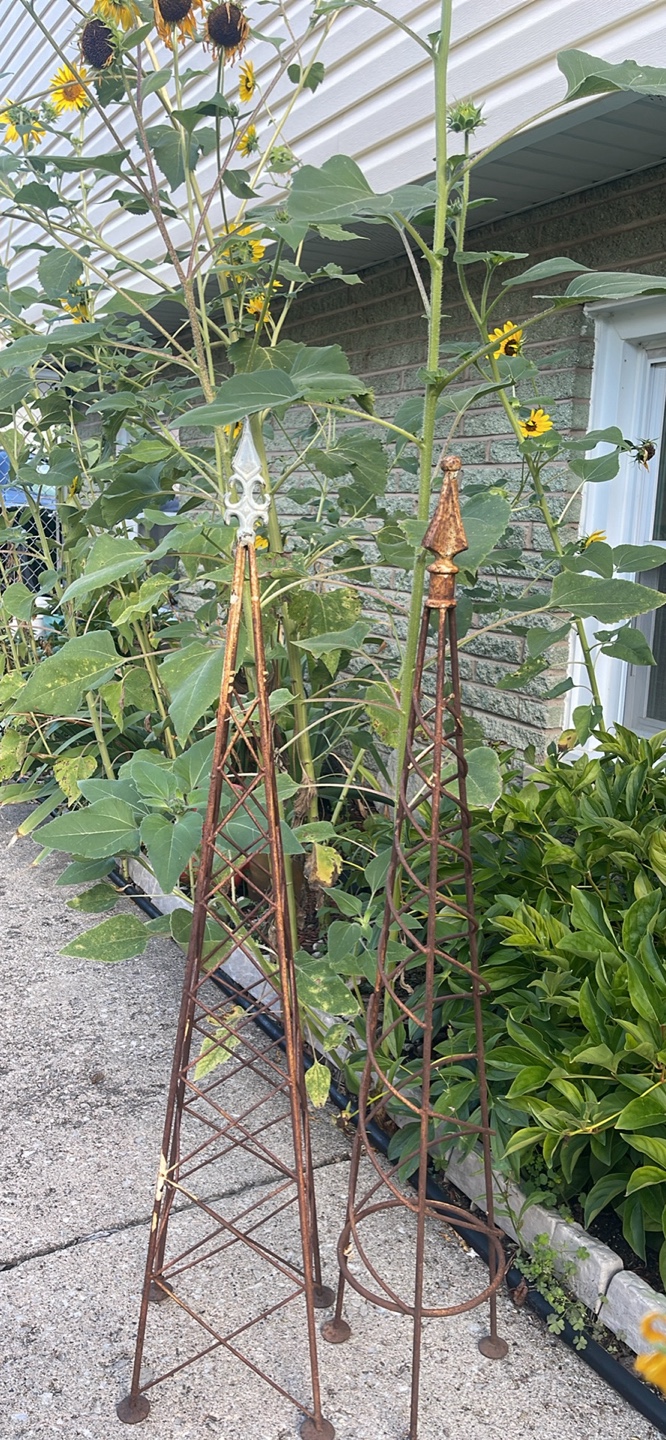 Garden Obelisks - Set of 2 - photo 2
