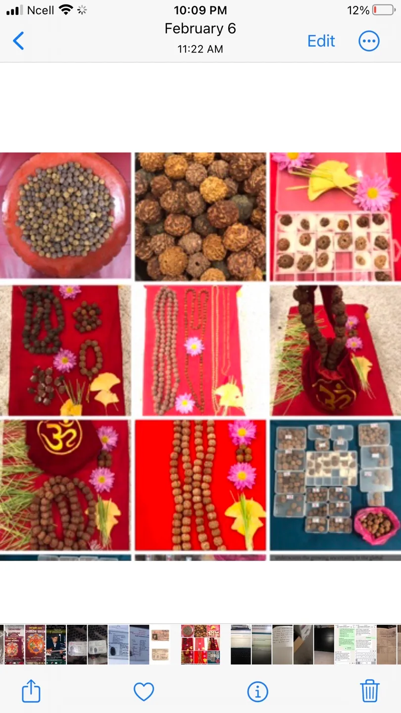 Nepali Rudraksha Mala and all Mukhis Rudraksh thumbnail