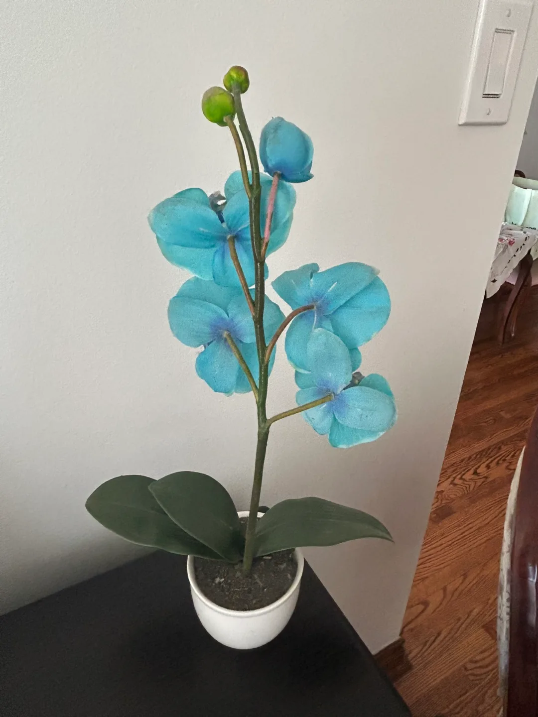 Artificial Blue Orchid in White Pot image indicator(2)