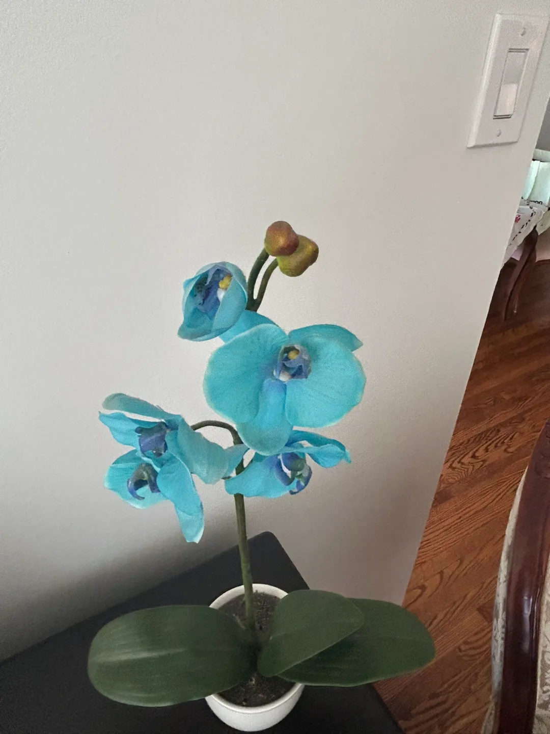 Artificial Blue Orchid in White Pot image indicator(3)