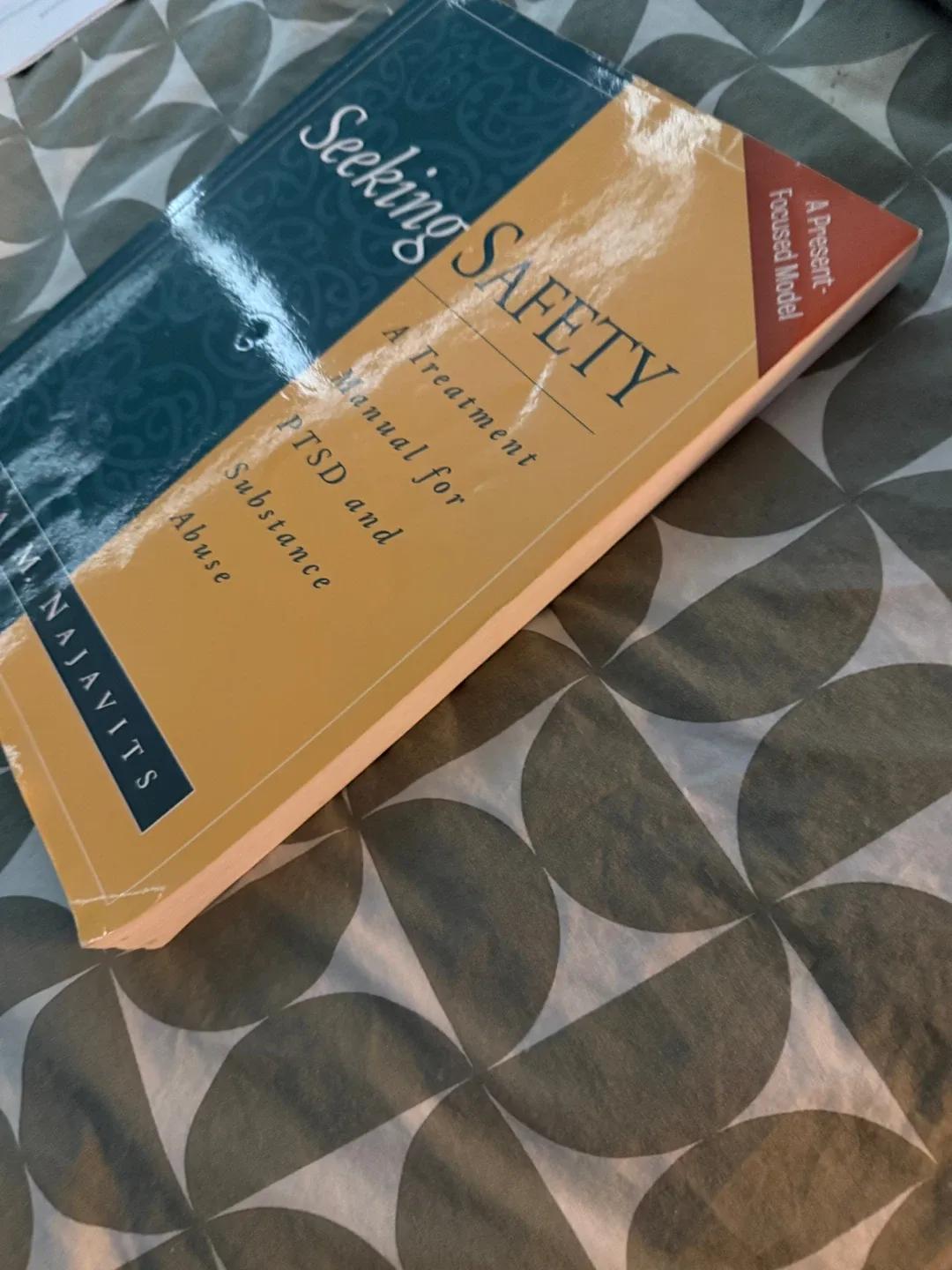 Seeking Safety: PTSD & Substance Abuse Treatment Manual image indicator(2)