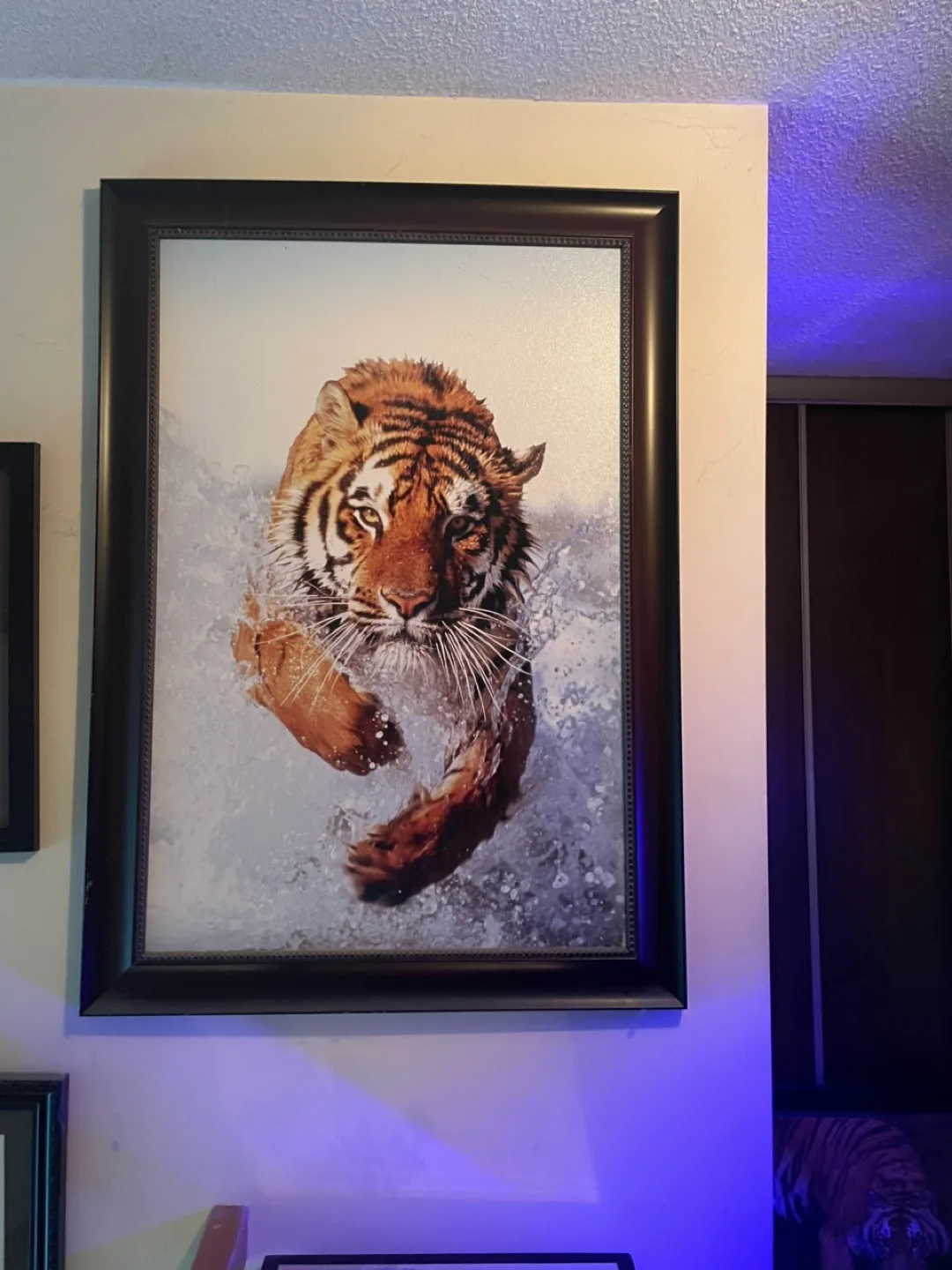 Tiger picture thumbnail