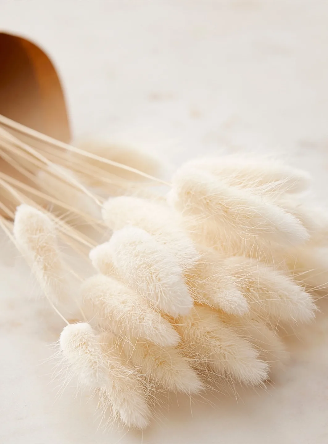 Dried Bunny Tail Decor thumbnail
