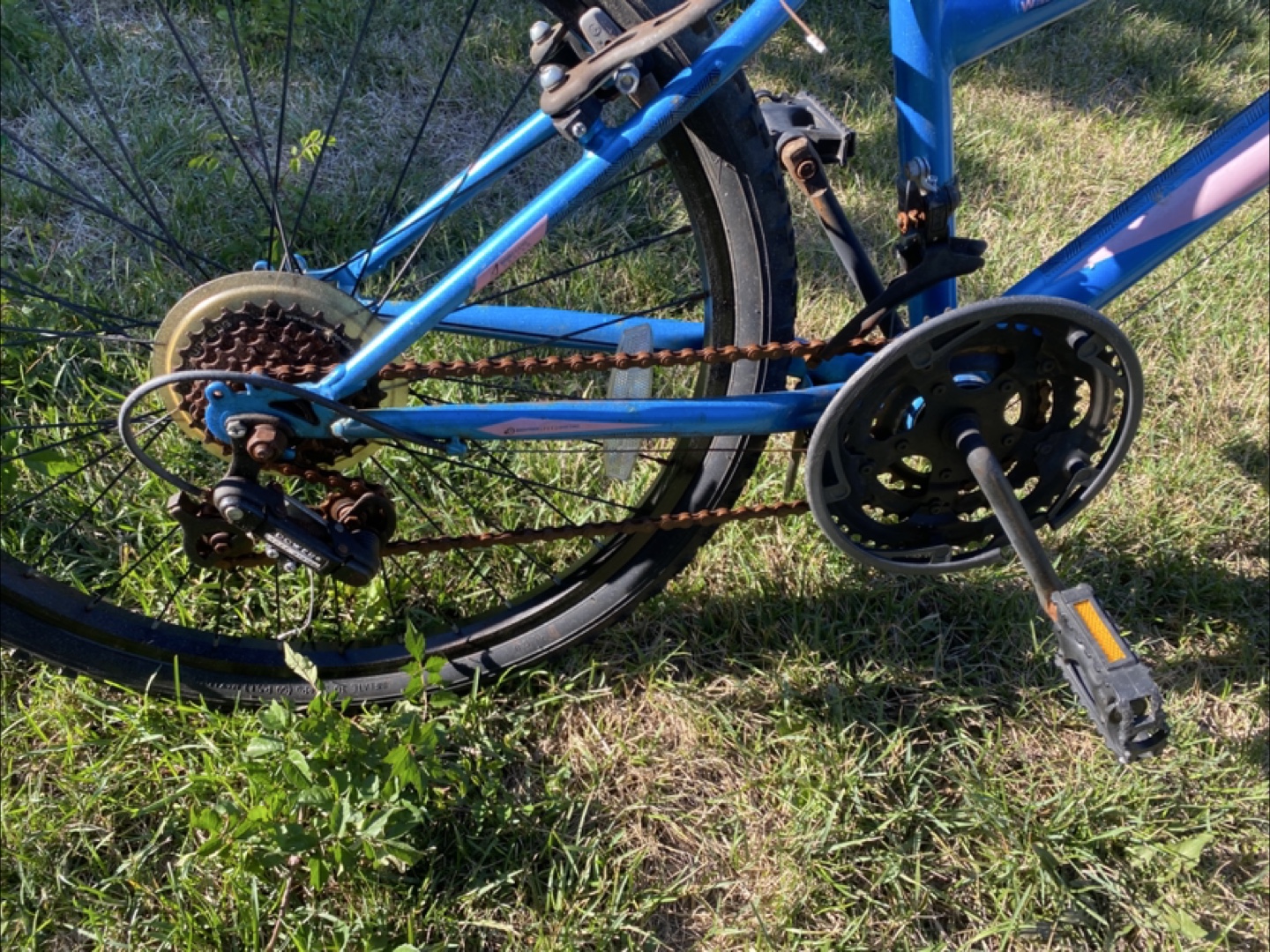 Mavelo Aluminum Mountain Bike - Blue - photo 4