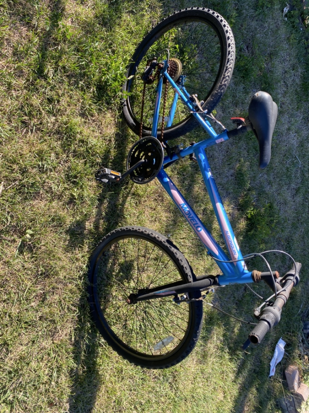 Mavelo Aluminum Mountain Bike - Blue - photo 3